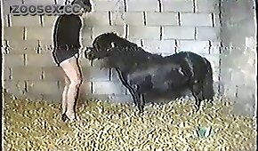 Sexo bom com o cara do pau grando e duro colocando essa morena para dar uma provada - pónei,sexo de cachorro