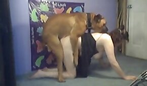 sexo de cachorro,sexo com animais