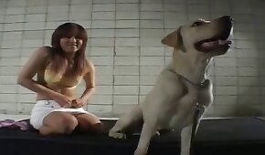 sexo de cachorro,animal fode garota