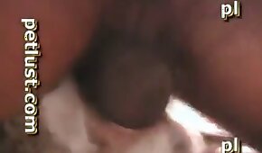 sexo de cachorro,vídeos de bestialidade